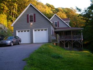 165 Mountain Lily Ridge Dr, Swannanoa, NC 28778-3737