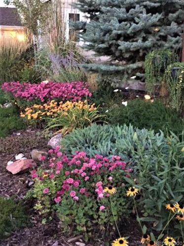 22318 Quail Run Way, Parker CO 80138-3121 exterior