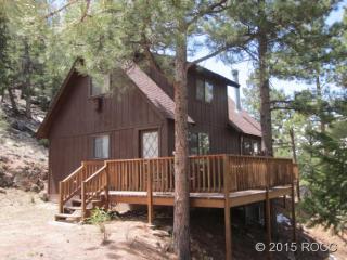 296 Bison Cir, Cotopaxi, CO 81223
