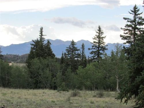 749 Quarter Horse Rd, Fairplay, CO 80456-0417