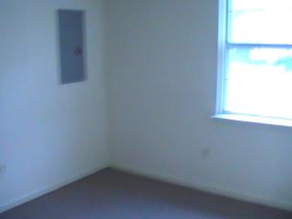 210 Hayward Ave, Fruitland MD  21826-1729 exterior