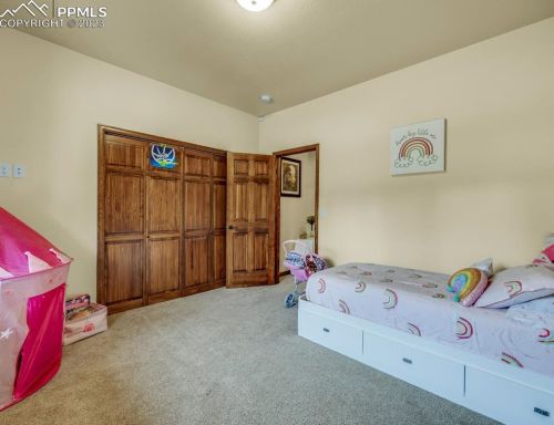 1171 Ptarmigan Dr, Woodland Park CO  80863-8005 exterior