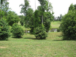 21 Lakeside Ln, Providence, NC 27315-8901