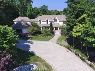 6 Willow Woods Trl, Warren, NJ 07059-5565