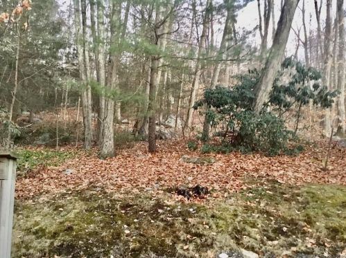 12 Clubhouse Dr, Woodbury, CT 06798-3205