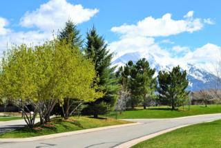 691 Perry Ridge Rd, El Jebel CO  81623-3137 exterior