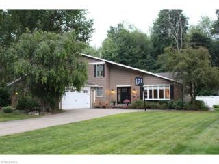 26931 Tall Oaks Trl, Cleveland OH  44138-1163 exterior