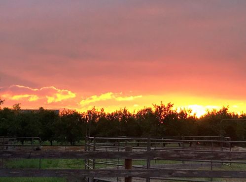 30999 Grooms Rd, Valley Home CA 95361-7513 exterior