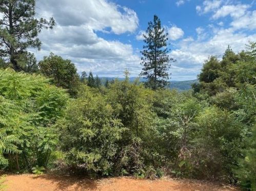 6145 Gold St, Michigan Bluff, CA 95631-9353