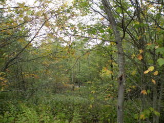 15 Center Court Dr, Boone, NC 28607