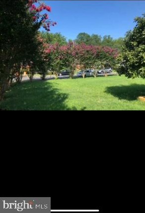 7635 Dunston St, Springfield VA  22151-2611 exterior