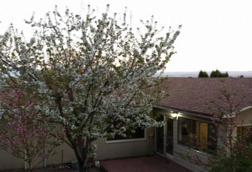 1321 King Ave, Cayuse, OR 97801-1264