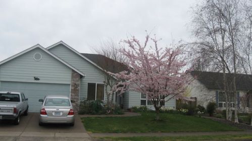 1965 Black Bear Ave, Albany, OR 97321-3791