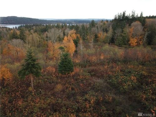 62 Kingfisher Pl, Port Hadlock, WA 98339