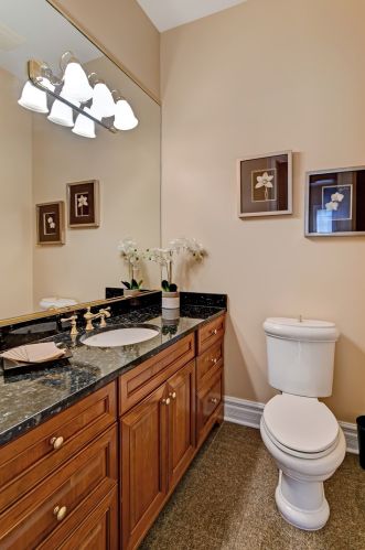 102 Ambriance Dr, Willowbrook IL  60527-0801 exterior