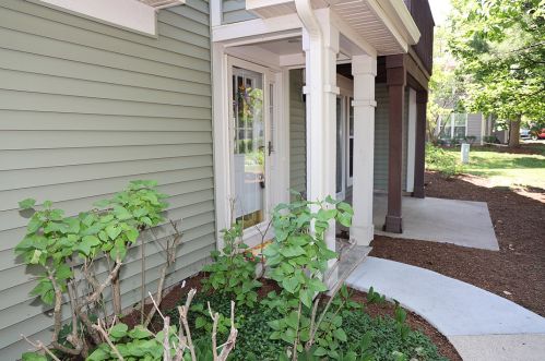 1154 Talbots Ln, Elk Grove Vlg, IL 60007-7109