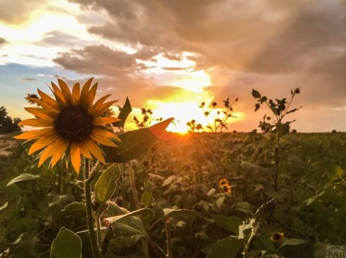 706 Avondale Blvd, Avondale CO 81022-8702 exterior