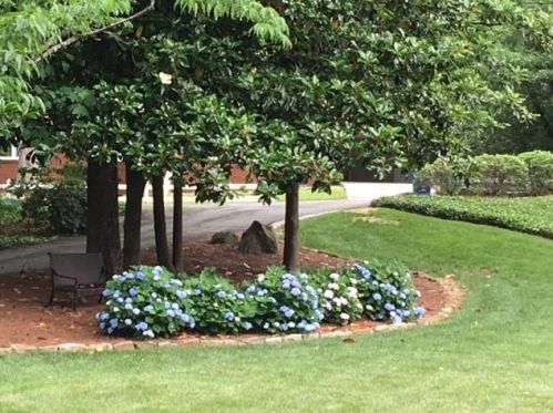 2475 Circlewood Rd, Atlanta GA  30345-1949 exterior