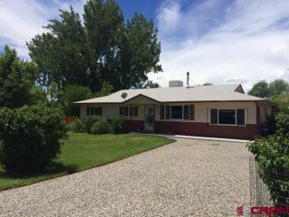 518 Aspen Ln, Hotchkiss, CO 81419-9339