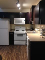 203 Stoughton St, Champaign IL  61820-5409 exterior