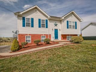 2894 Old State Route 34, Limestone, TN 37681-3104