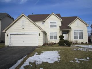 828 Morningside Dr, Schaumburg, IL 60173-2077