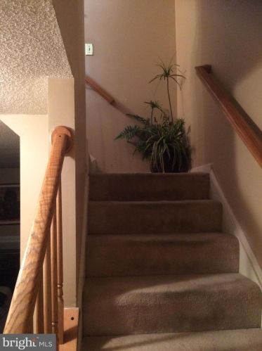 2347 Massanutten Dr, Silver Spring MD 20906-6169 exterior