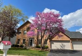 4835 Fesseneva Ln, Naperville, IL 60564-5839