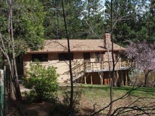 6226 Homestead Dr, Swansboro Country, CA 95667-8106