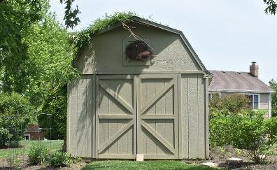 5 Wexford Ct, Lemont IL  60439-6136 exterior