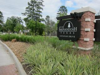 203 Hickory Ridge Dr, Spring, TX 77381-1106