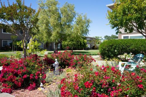 1024 Los Gamos Rd, San Rafael CA  94903-2551 exterior