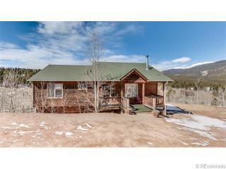 203 Gold Flake Ter, Bailey, CO 80421-1220