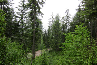 8 Oneil Mountain Rd, Hope, ID 83836-9677
