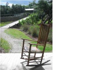 4260 Lady Banks Ln, Ravenel, SC 29470-3304