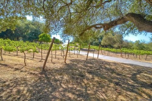 16941 Highway 67, Ramona, CA 92065-6942