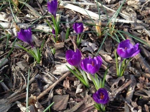 506 2nd Ave, Saint Paul MN  55112-6824 exterior