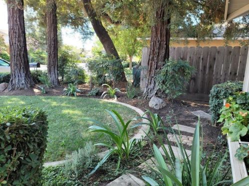 1117 Pebble Ln, Modesto, CA 95355-4818