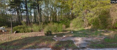 233 Woodland Dr, Swansea, SC 29160-9285