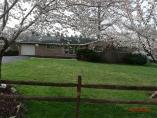 7482 Beech Run Rd, Nimitz WV  25978 exterior