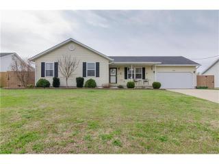 9856 Oak Grove School Rd, Lebanon, IL 62254-2704