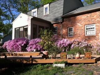 11396 Rosemont Dr, Rockville, VA 23146-1740