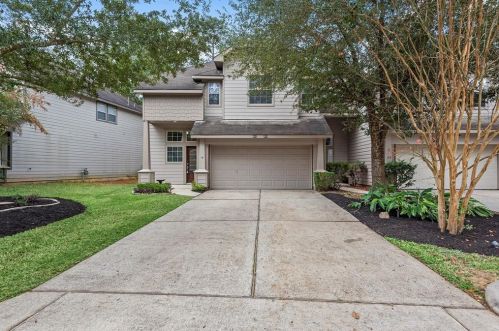 19 Twinvale Loop, Conroe, TX 77384-5085