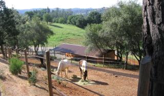 2240 Greenhorn Trl, Auburn Lake Trails, CA 95614-2605
