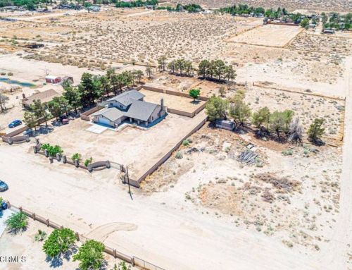 48205 91st St, Lancaster, CA 93536-9326