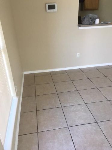 1703 Lady Rachael Ct, Fort Worth TX  76134-4325 exterior