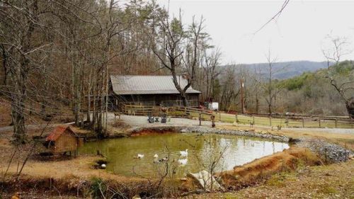 271 Price Rd, Reliance, TN 37369-4201