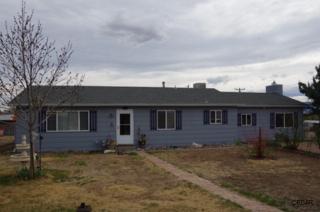 201 Sherrill Dr, Penrose CO  81240-9228 exterior