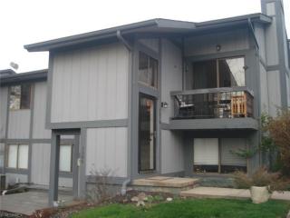 7016 Bristlewood Dr, Concord Township, OH 44077-2351