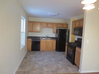 244 Yellow Pine Dr, Lemont IL  60440-1749 exterior